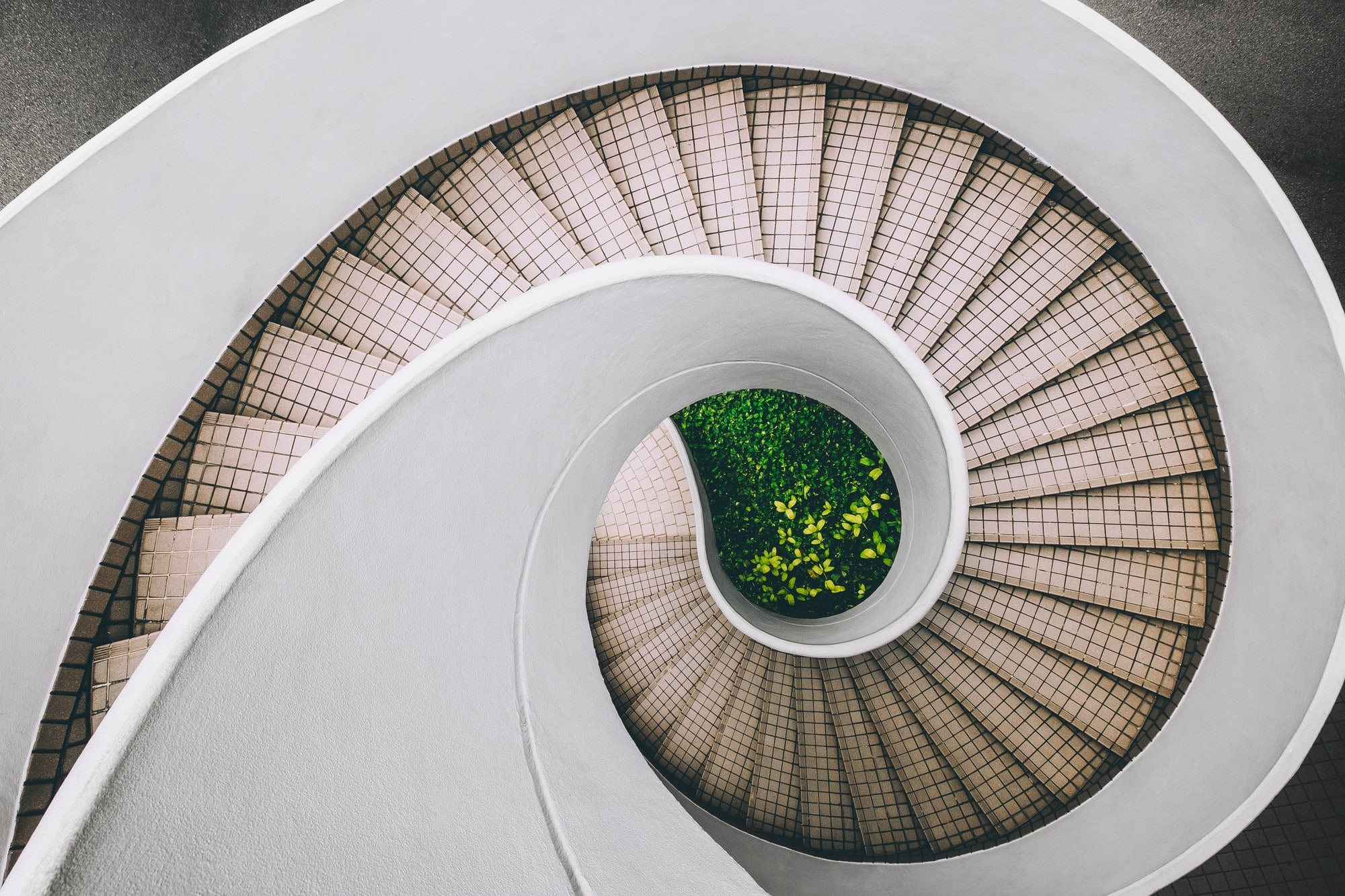 The cycle moves into working life | elleXX
